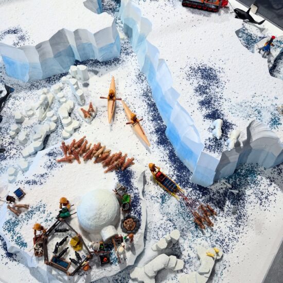 playmobil_arktis7